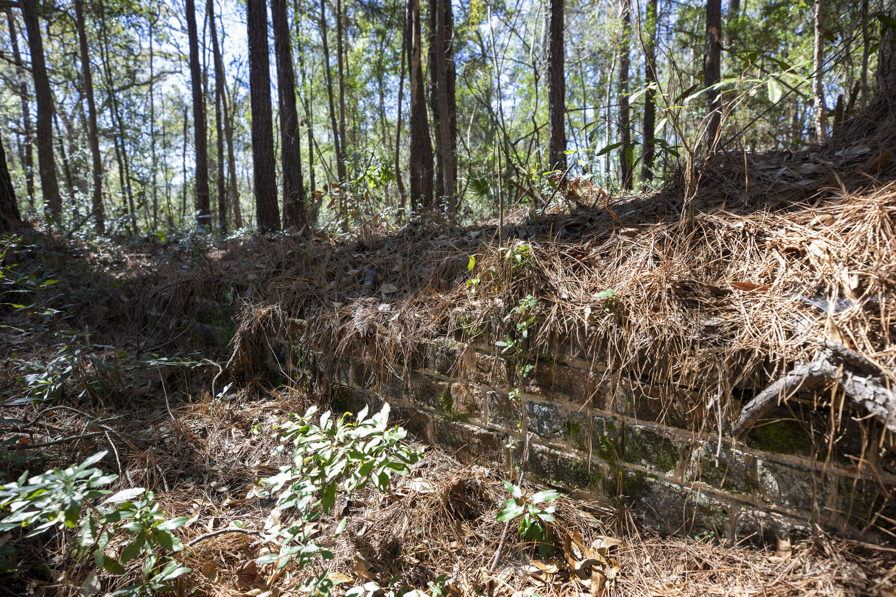 meeting house wall.jpg